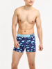 Paper Planes & Clouds - Mens Fitted Trunks